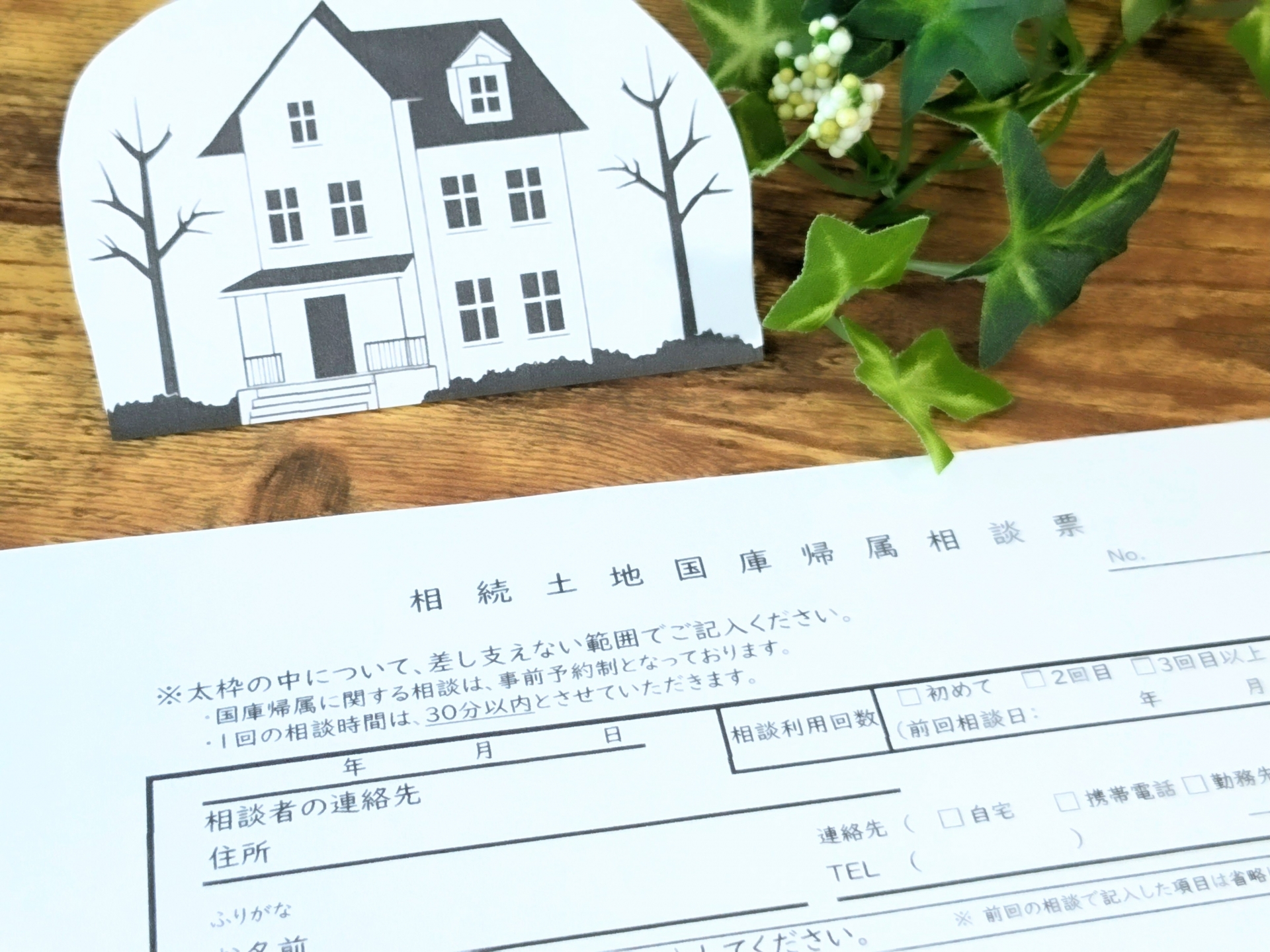 相続土地国庫帰属相談表イメージ画像